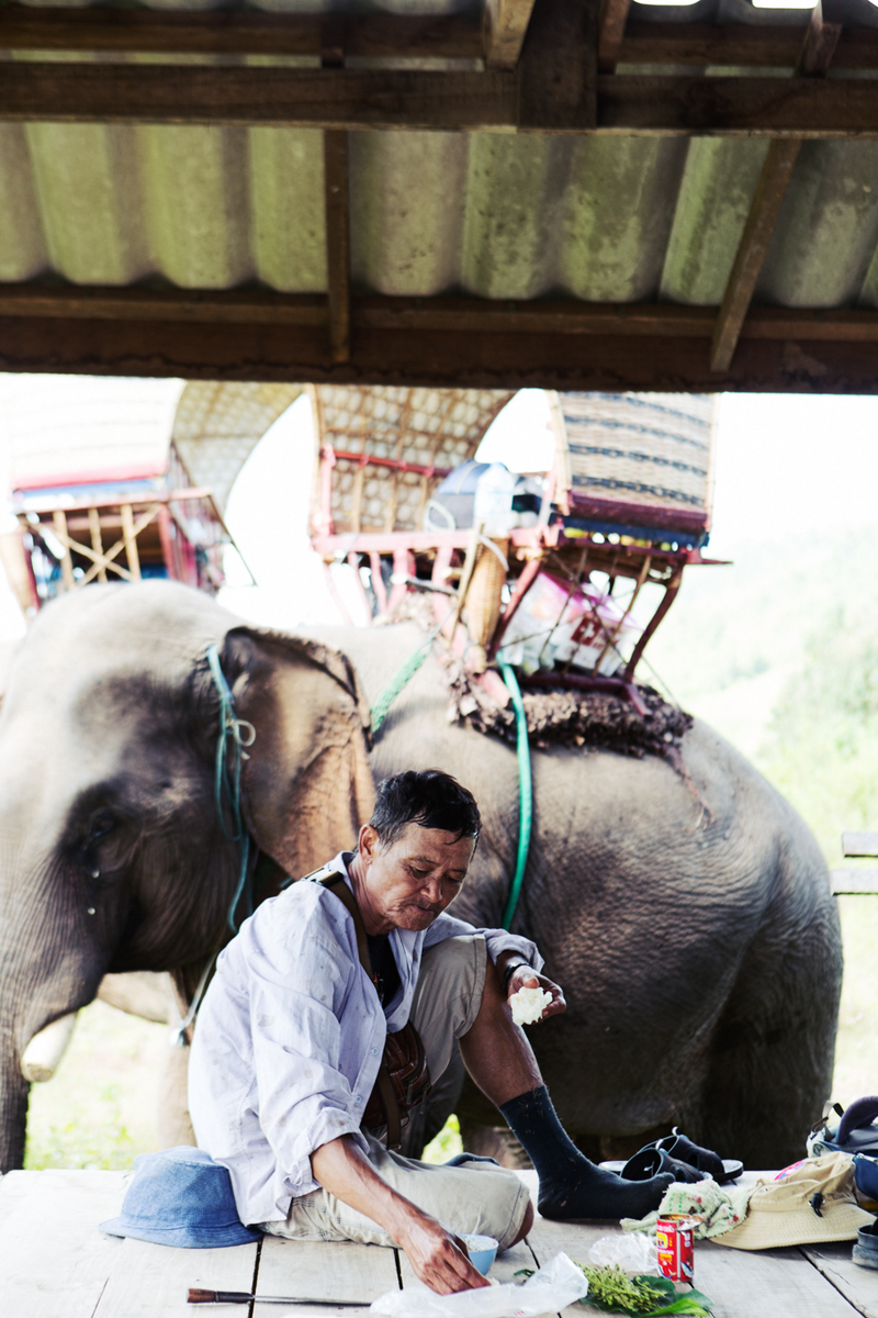 The mahouts stop at a beautiful overlook for lunch. Between the view and the elephant parking it was a pretty spectacular sight.Tara Rice Photography